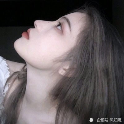 IMF总裁警告：“黑天鹅”已成常态，世界尚未建立起应对体系